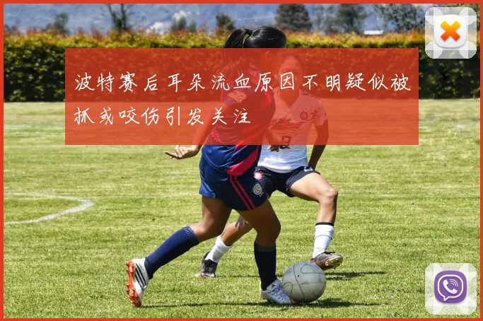 波特赛后耳朵流血原因不明疑似被抓或咬伤引发关注